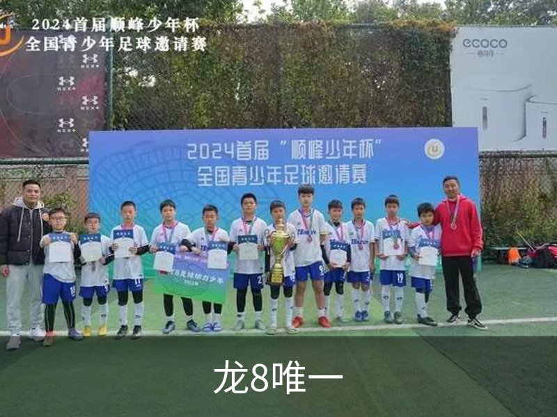 龙8唯一概况